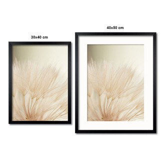 Vzdušná pampeliška 2 Plakát