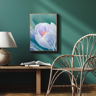 Jemný krokusový květ Plakát