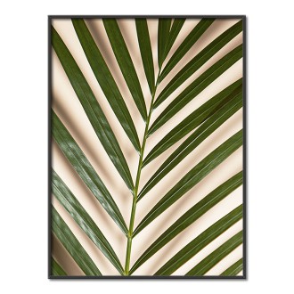Palmové listy na béžové Plakát