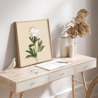 Pivoňka na béžovém pozadí Plakát