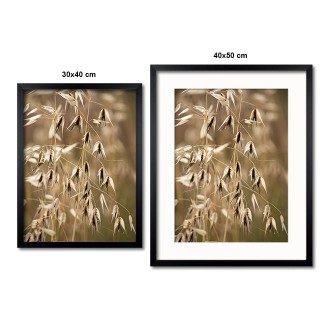 Hlavy travního semene Plakát