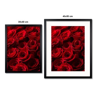Kytice krásných červených růží Plakát