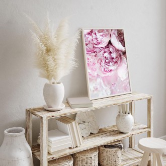 Bílé a růžové pivoňky Plakát