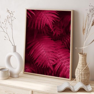 Listy růžové kapradiny Plakát