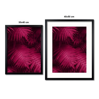 Listy růžové kapradiny Plakát