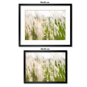 Kolekce plakátů Set 12