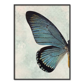 Azurový motýl 3D Zlatý Plakát