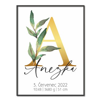 Personalizovatelný plakát Narození miminka - Abeceda "A"
