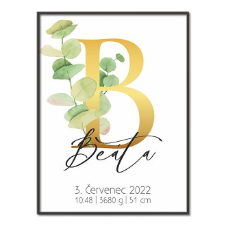 Personalizovatelný plakát Narození miminka - Abeceda "B"