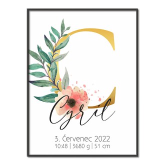 Personalizovatelný plakát Narození miminka - Abeceda "C"
