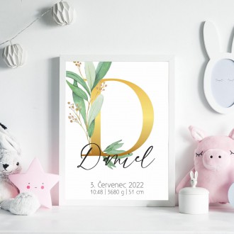 Personalizovatelný plakát Narození miminka - Abeceda "D"