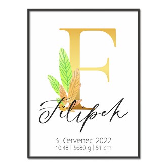 Personalizovatelný plakát Narození miminka - Abeceda "F"