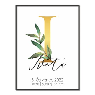 Personalizovatelný plakát Narození miminka - Abeceda "I"
