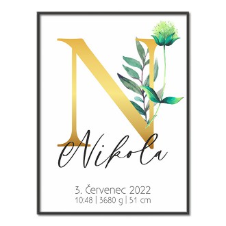 Personalizovatelný plakát Narození miminka - Abeceda "N"