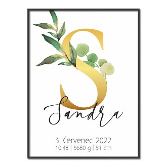 Personalizovatelný plakát Narození miminka - Abeceda "S"