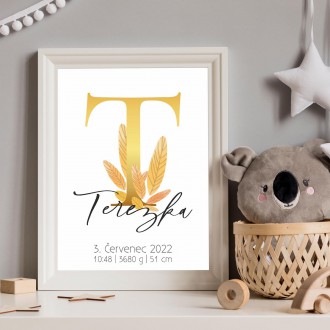 Personalizovatelný plakát Narození miminka - Abeceda "T"