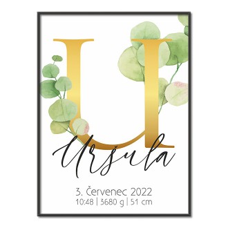 Personalizovatelný plakát Narození miminka - Abeceda "U"