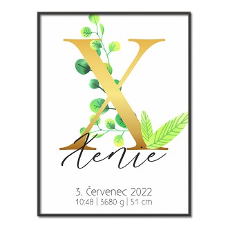 Personalizovatelný plakát Narození miminka - Abeceda "X"