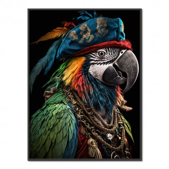 Papoušek pirát