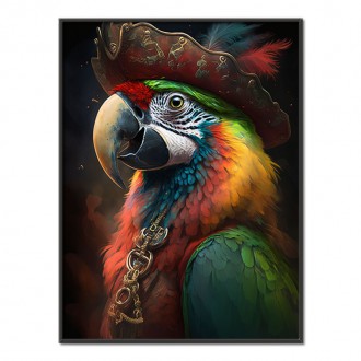 Papoušek pirát 2