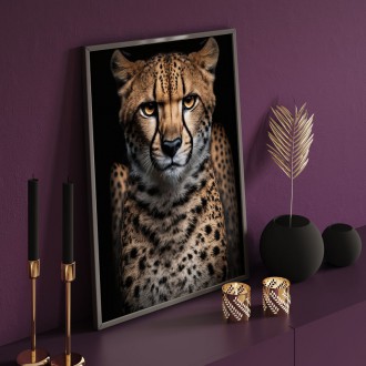 Samice geparda