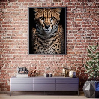 Samice geparda