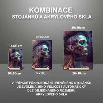 Akrylové sklo Día de Muertos žena 5