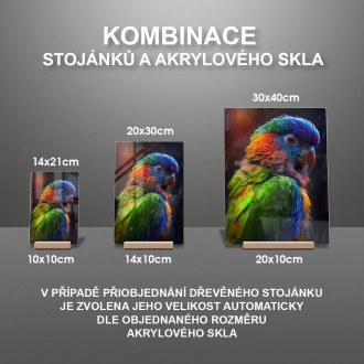 Akrylové sklo Barevný papoušek 2