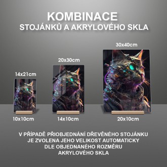 Akrylové sklo Kočka kyborg 2