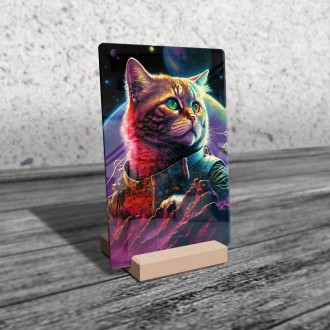 Akrylové sklo Vesmírná kočka