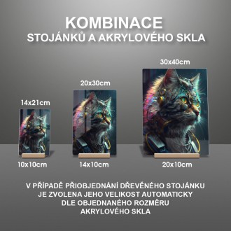Akrylové sklo Kočka kyborg 3