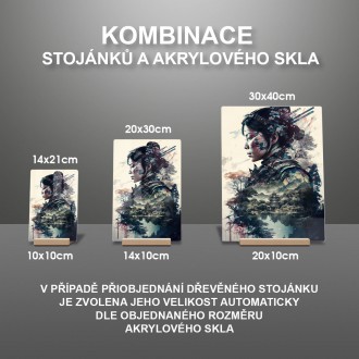 Akrylové sklo Japonská chrámová strážkyně 2
