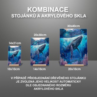 Akrylové sklo Podmořská scenérie Keporkak