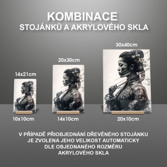 Akrylové sklo Japonská bojovnice 2