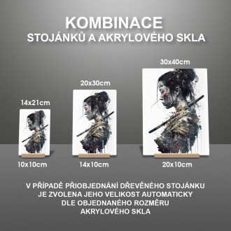 Akrylové sklo Japonská bojovnice 3