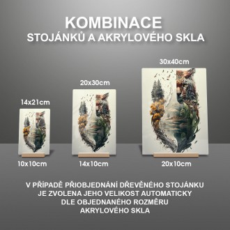 Akrylové sklo Rys ve svém prostředí