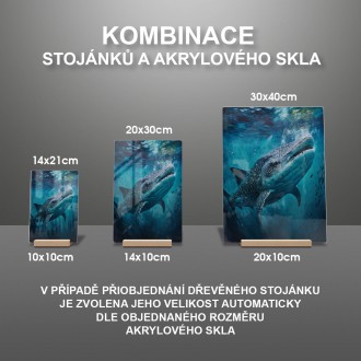 Akrylové sklo Podmořská scenérie Žralok velrybí