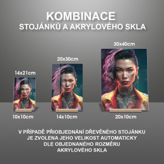 Akrylové sklo Punková dívka