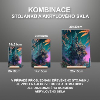 Akrylové sklo Zelený dům