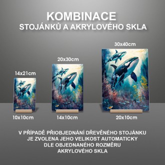 Akrylové sklo Podmořská scenérie Kosatka