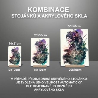 Akrylové sklo Japonská chrámová strážkyně