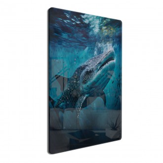 Akrylové sklo Podmořská scenérie Žralok velrybí