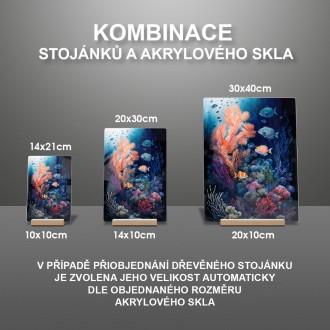 Akrylové sklo Podmořská scenérie Korálový útes