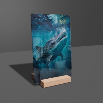 Akrylové sklo Podmořská scenérie Žralok velrybí