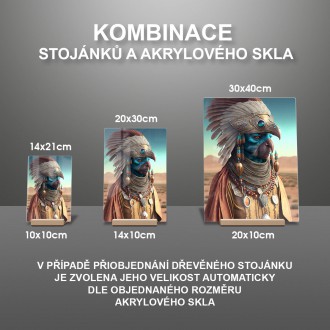 Akrylové sklo Mimozemský šaman