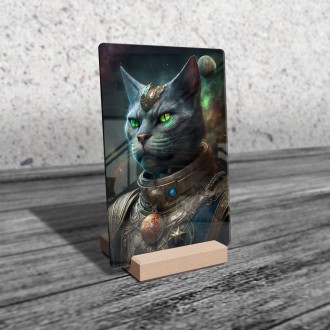 Akrylové sklo Mimozemská rasa - Kočka