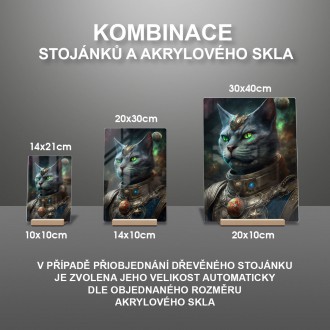 Akrylové sklo Mimozemská rasa - Kočka