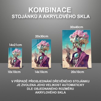 Akrylové sklo Mimozemská bojovnice