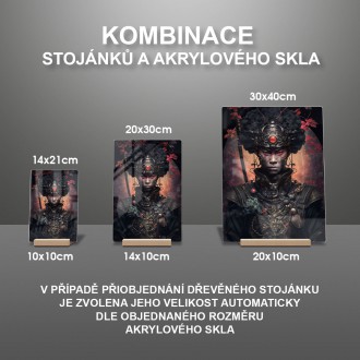 Akrylové sklo Mimozemský bojovník 2