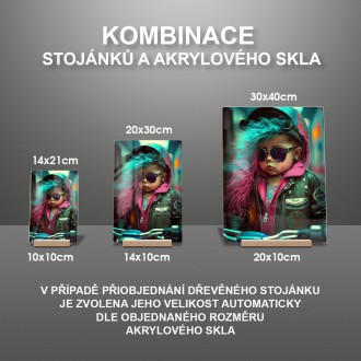 Akrylové sklo Malá motorkářka 1